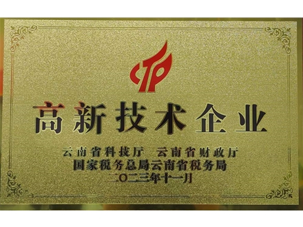 高新技術(shù)企業(yè)